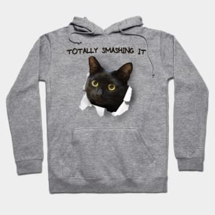 Totally smashing it Hoodie